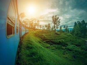 Treinreis sri lanka